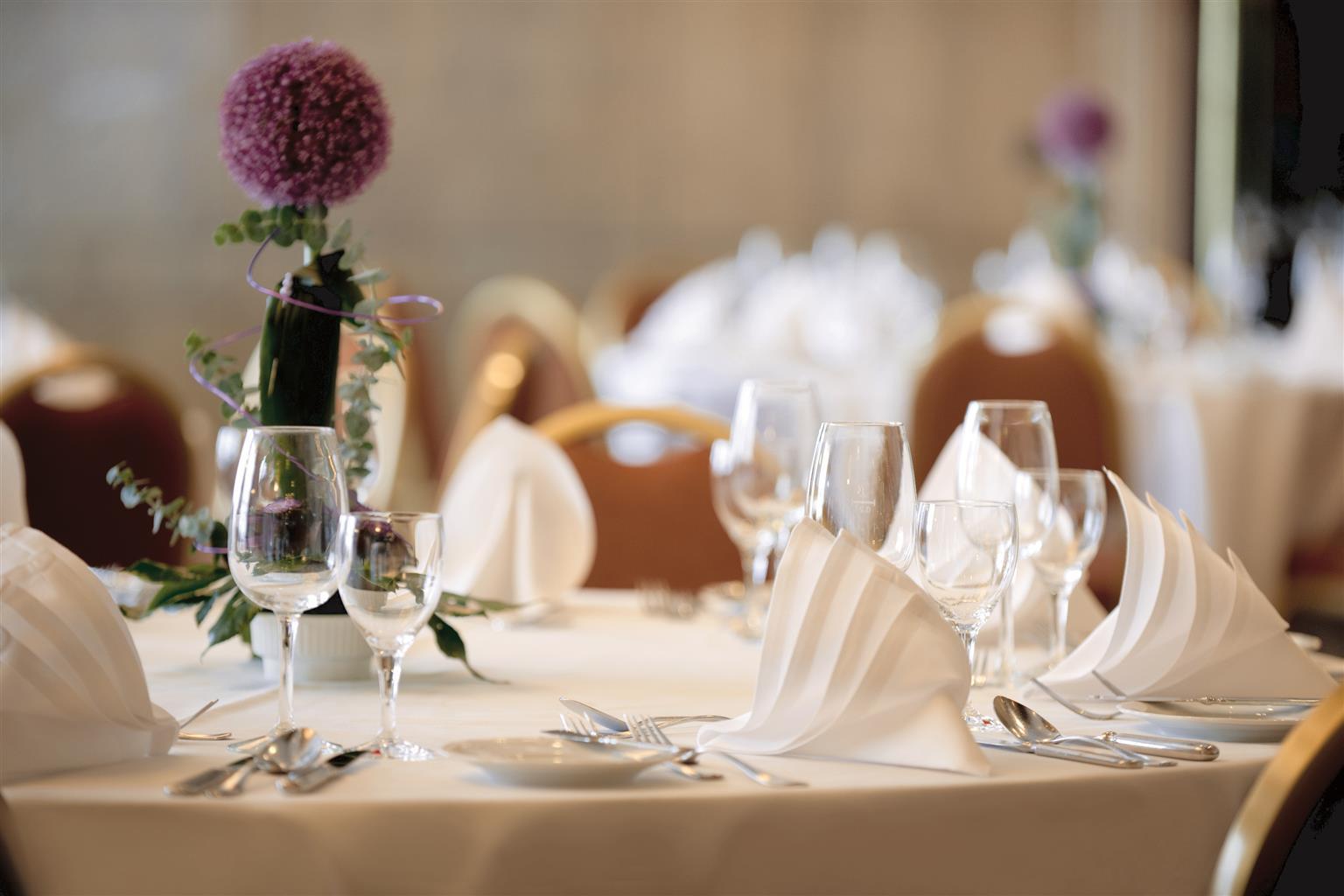 Best Western Plus Hotel Kassel City Dış mekan fotoğraf